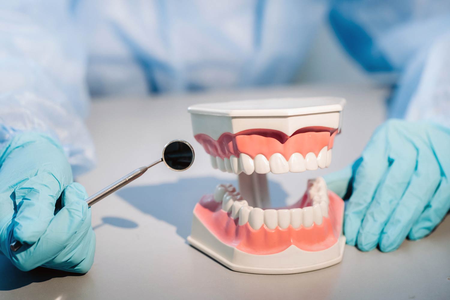 dentadura y dentista